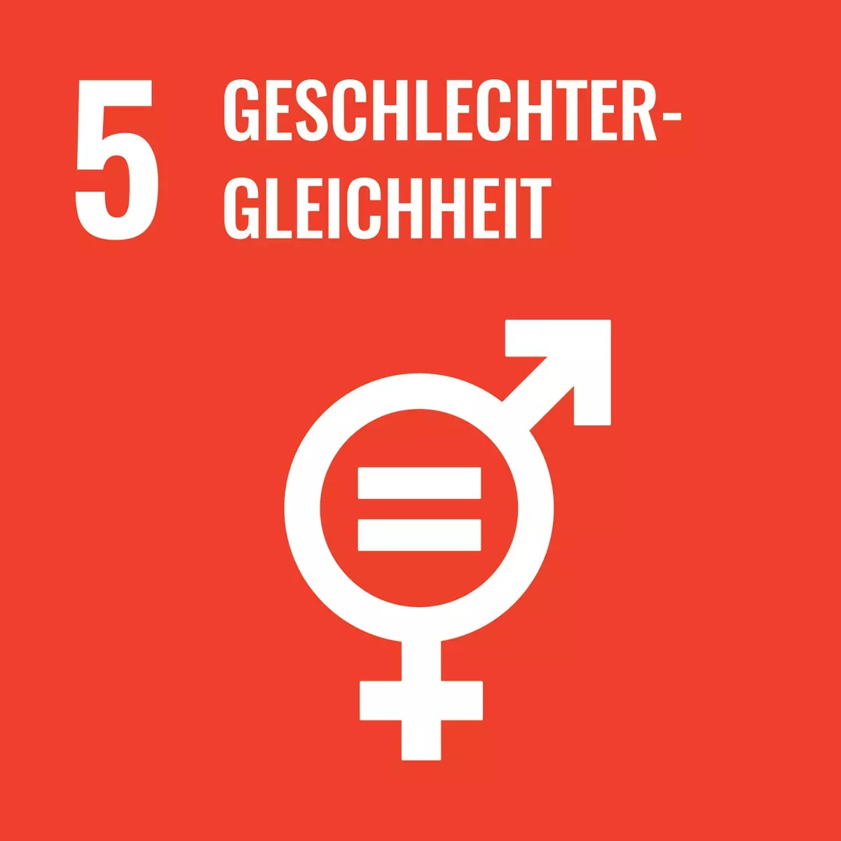 imgi_14_csm_SDG_icons_DE-05_4f51d27774