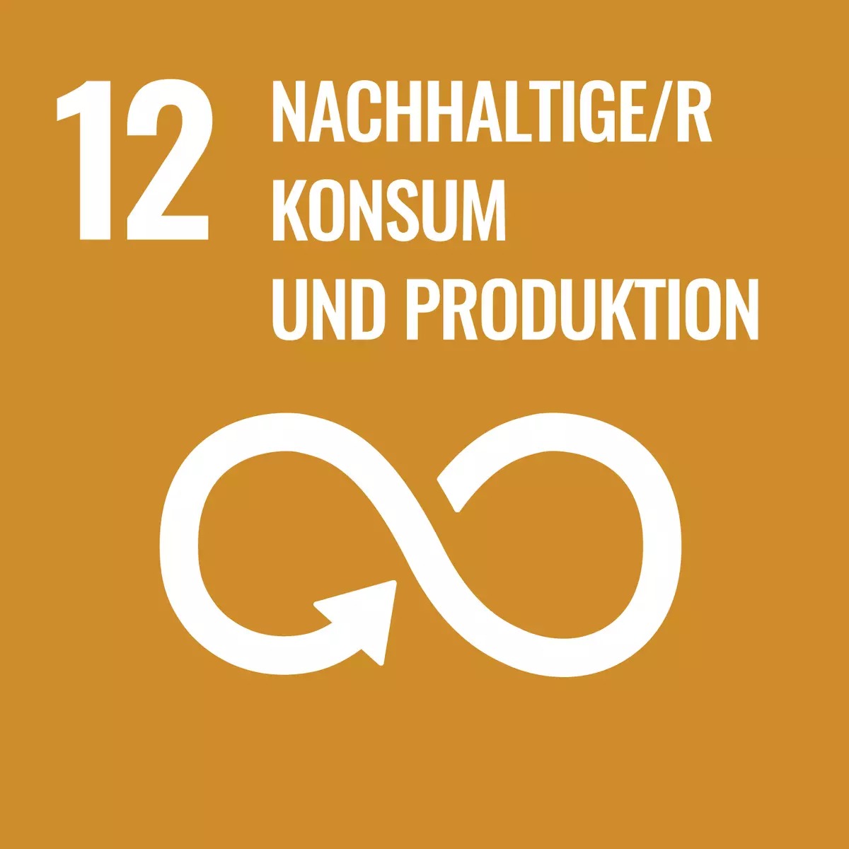 imgi_21_csm_SDG_icons_DE-12_9057f13153